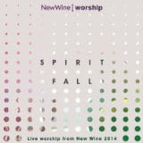 Spirit Fall Worship CD