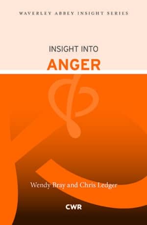 Insight into Anger P/b