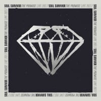 Promise, The (Live) CD
