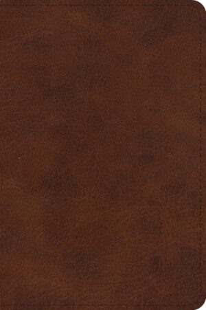ESV Large Print Bible, TruTone, Deep Brown