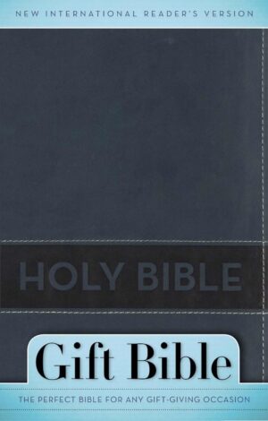 NIRV Gift Bible Slate Blue