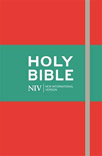 NIV Thinline Soft-tone Bible, Red