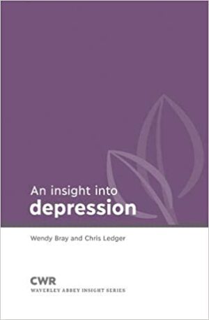 Insight Into Depression P/b