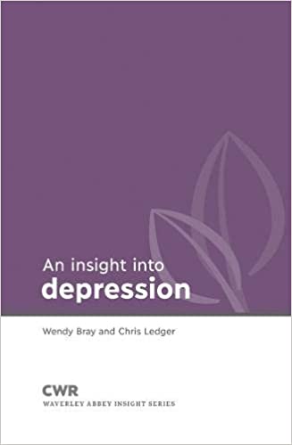 Insight Into Depression P/b