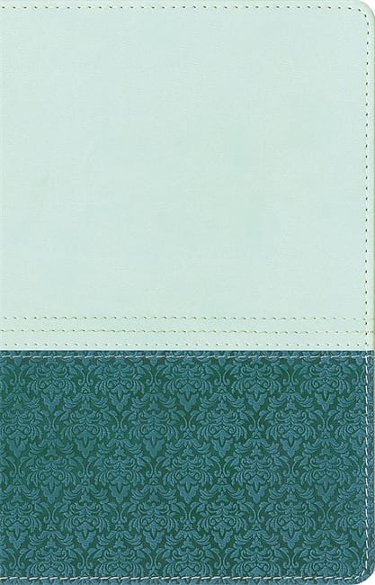 NIV Study Bible Sea Glass/Caribbean Duo-Tone Personal Size (US Text)