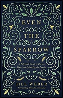 Even the Sparrow