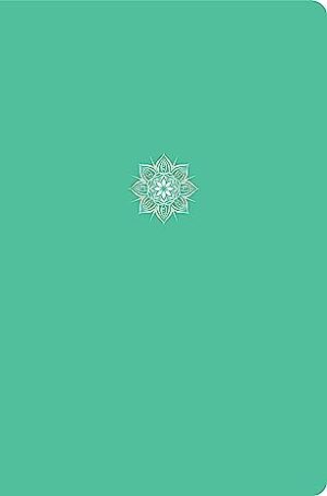 CSB Everyday Study Bible, Mint