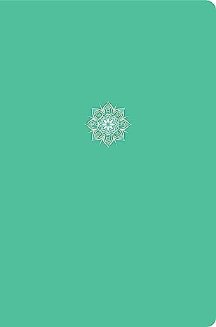CSB Everyday Study Bible, Mint