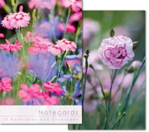 W183T Notecard Wallet - Pink Carnations (10 cards)