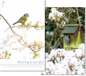 W129T Notecard Wallet - Blue Tits  (10 cards)