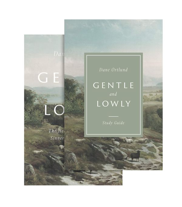 Gentle and Lowly Video Study DVD