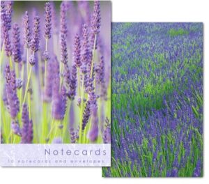 W118 Notecard Wallet - Lavender Stems (10 cards)