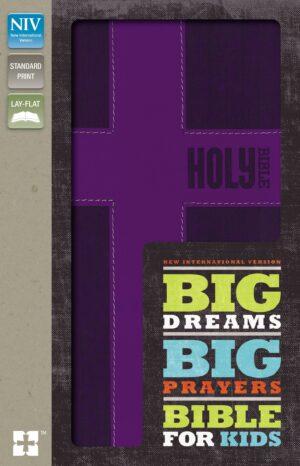 NIV Bible for Kids Big Prayers Big dreams