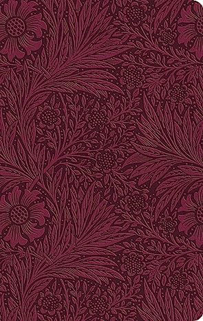 ESV Large Print Value Thinline Bible, TruTone, Raspberry