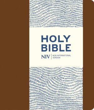 NIV Journalling Brown Imitation Leather Bible with Clasp (new edition)