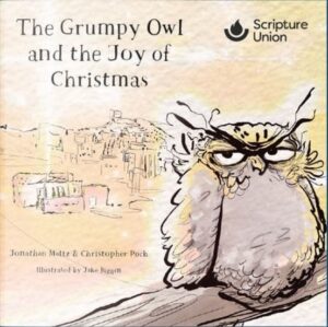 Grumpy Owl and the Joy of Christmas