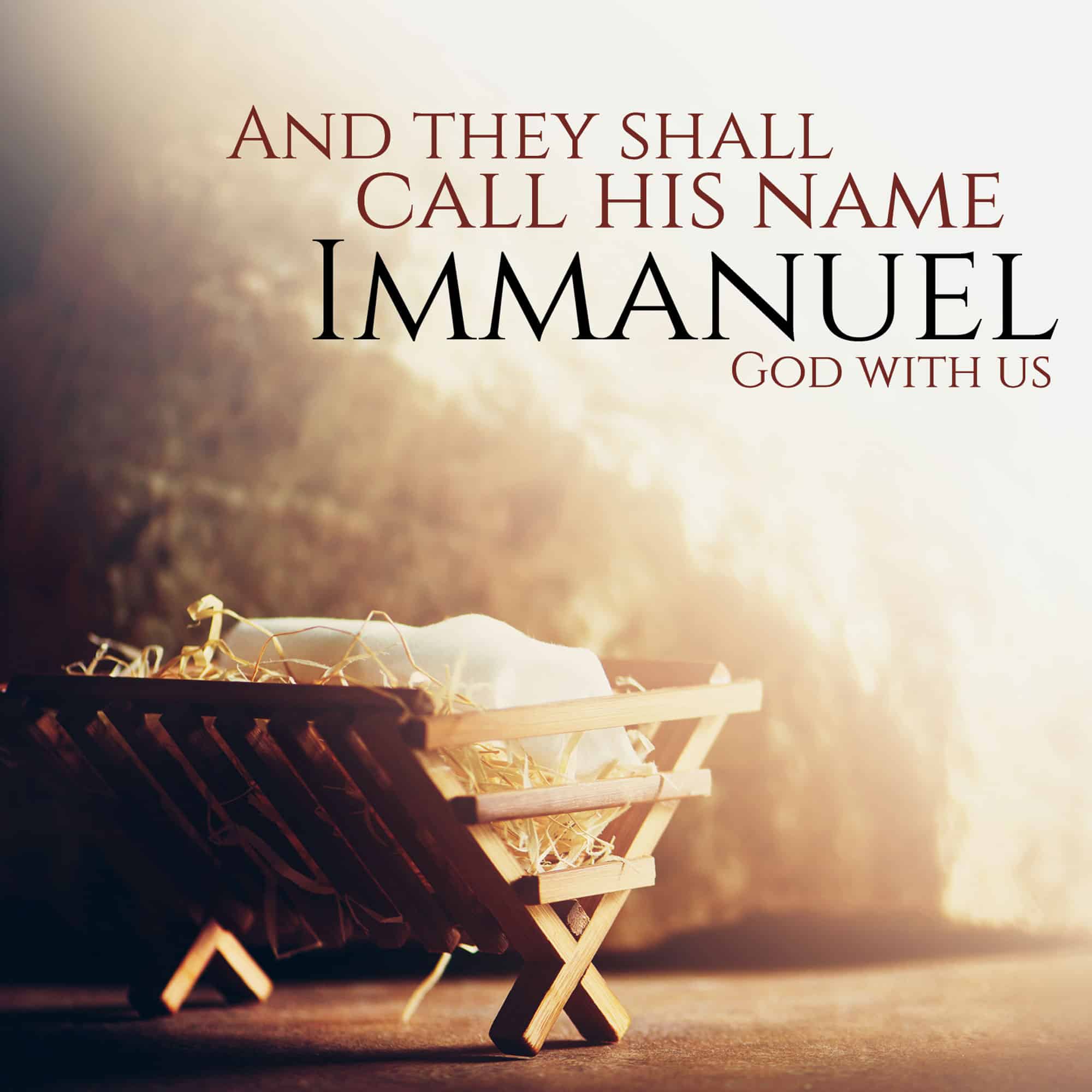 Immanuel Christmas Cards--
