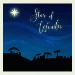Star of Wonder Christmas Cards UK Foodbanks