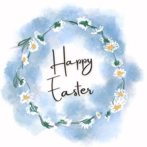 Happy Easter Daisies (Pack of 10)