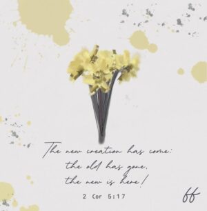 The New Creation (Pack of 10)