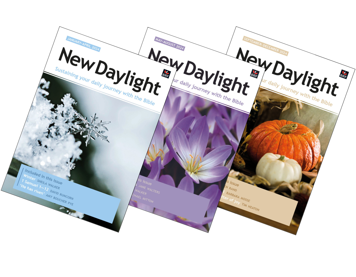 New Daylight Yearly Subscription