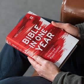 NIV Bible in One Year with Commentary by Nicky and Pippa Gumbel - Image 2