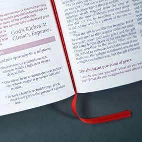 NIV Bible in One Year - Image 2