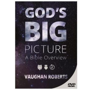 God's Big Picture
