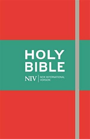 NIV Thinline Soft-tone Bible, Red