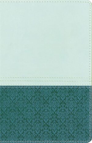 NIV Study Bible Sea Glass/Caribbean Duo-Tone Personal Size (US Text)
