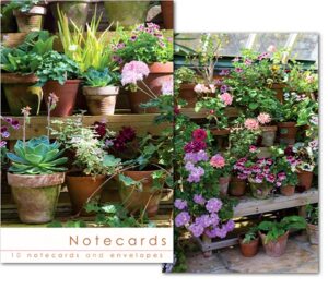 W157 Notecard Wallet -Pot Plants  (10 cards)