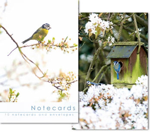 W129T Notecard Wallet - Blue Tits  (10 cards)