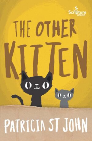 other kitten