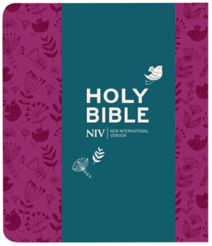 NIV Journalling Plum Soft-tone Bible with Clasp (new edition)