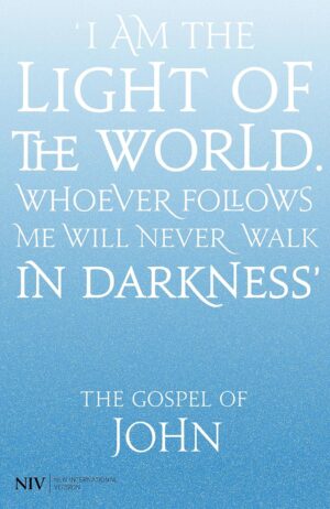 NIV Gospel of John