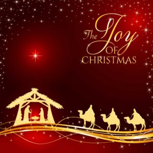 Christmas Joy Christmas Cards