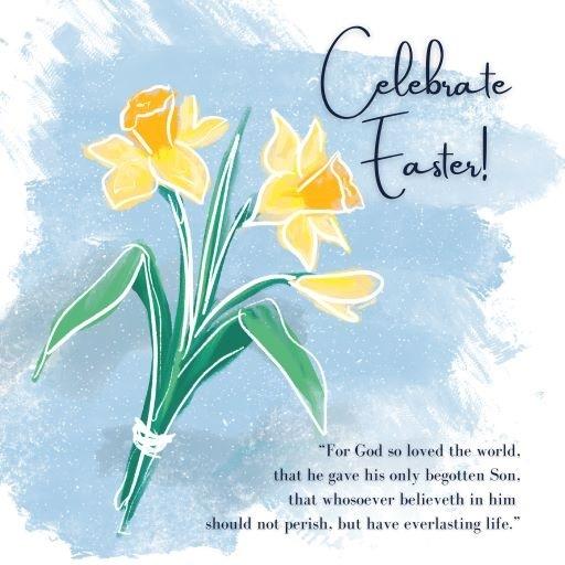 Celebrate Easter Daffodils (Pack of 10) | St Andrews Bookshop