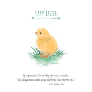 Happy Easter Chick (Pack of 10)
