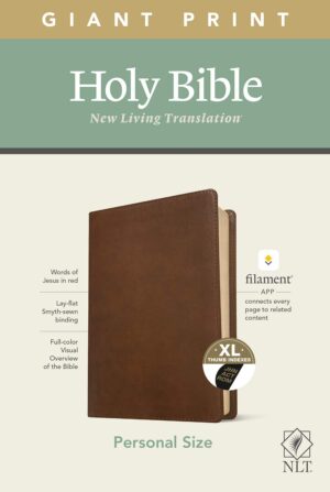 NLT Personal Size Giant Print Bible, Filament Edition, Brown