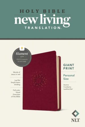 NLT Compact Giant Print Bible, Filament Edition, Navy