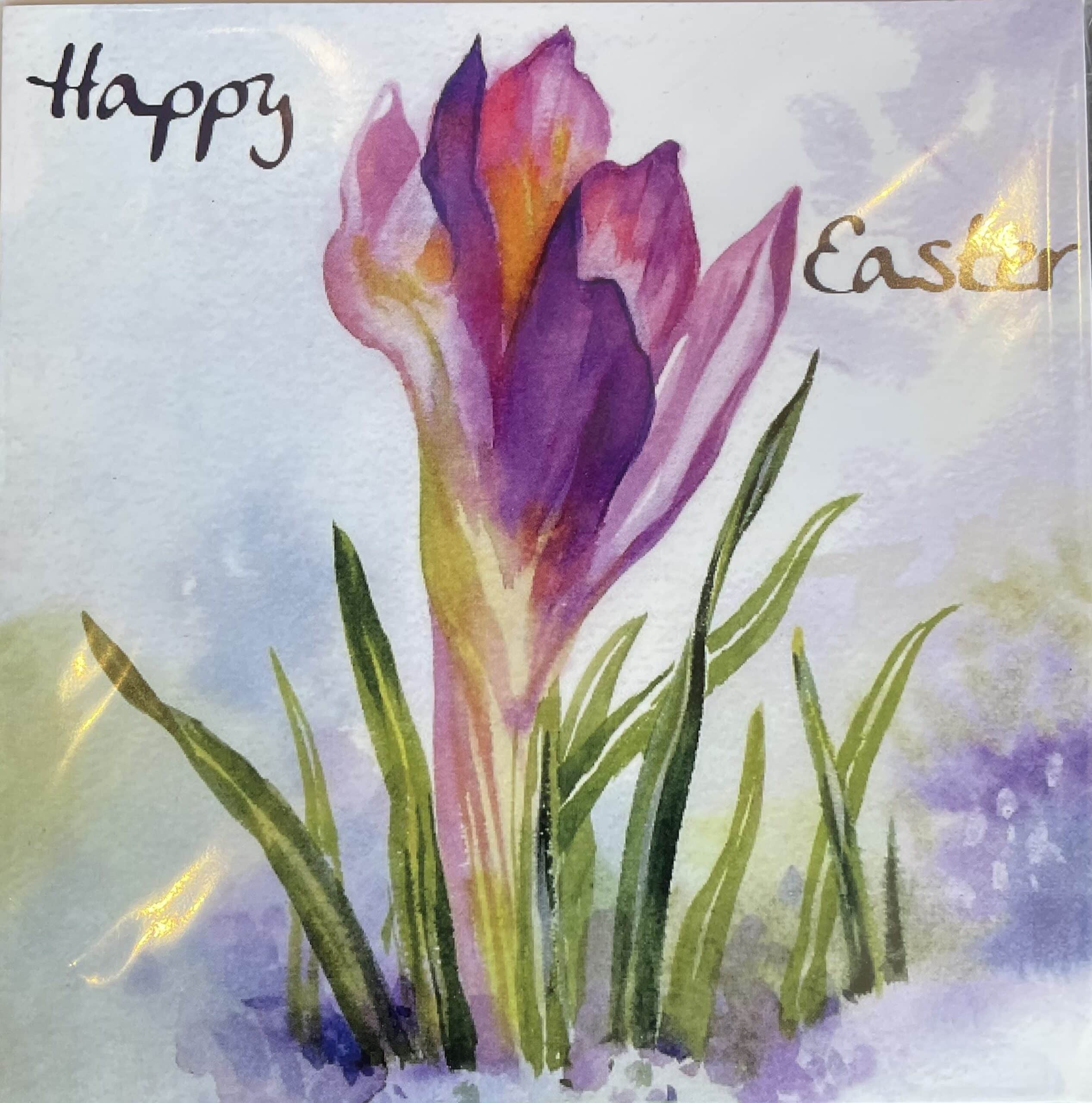 Pack of 5 – Tearfund Easter Watercolour Tulip Card2 | St Andrews Bookshop