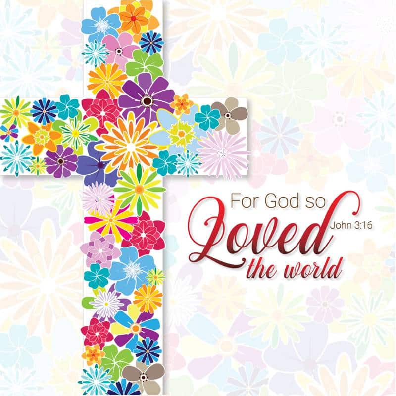 So Loved Easter Cards (pack of 5) | St Andrews Bookshop