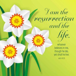 I am the resurrection Easter Cards (pack of 5)