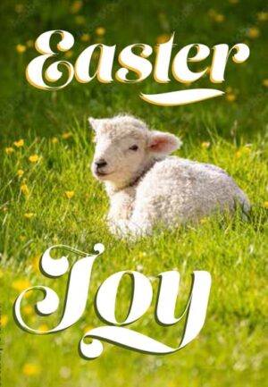 Compassion Easter Cards: Easter Joy Lamb (Pack of 5)
