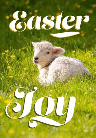Compassion Easter Cards: Easter Joy Lamb (Pack of 5)