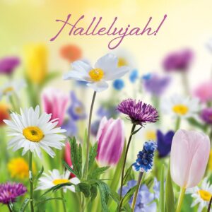 Hallelujah! Easter The Leprosy Mission Easter Cards (pack of 4)