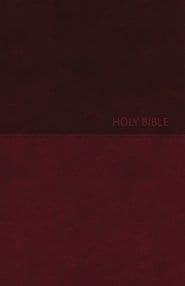 NKJV Value Thinline Bible, Burgundy, Large Print