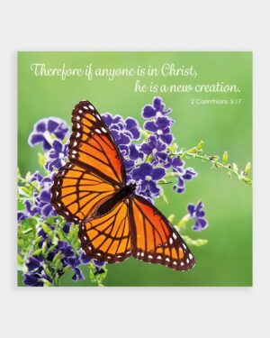 New Creation (Pack of 4)