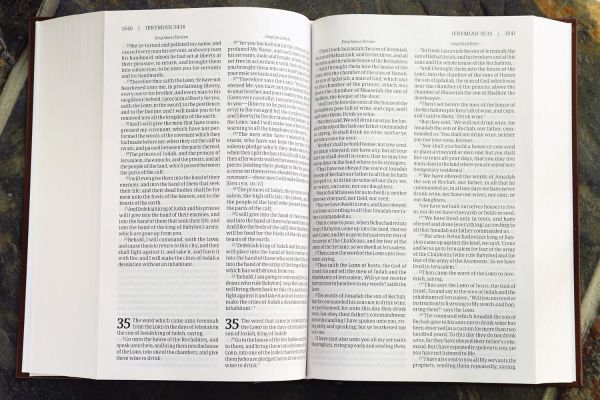 KJV/AMPLIFIED Parallel Bible, Large Print - Image 2