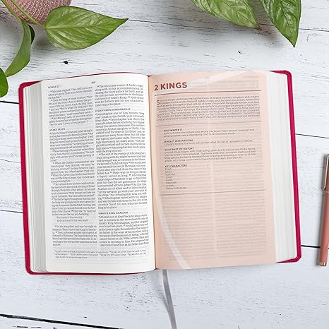 CSB Defend Your Faith Bible, Pink Leathertouch - Image 2